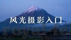 看足球比分的网页-足球迷的数字战场，深度解析那些让你心跳加速的看比分网页